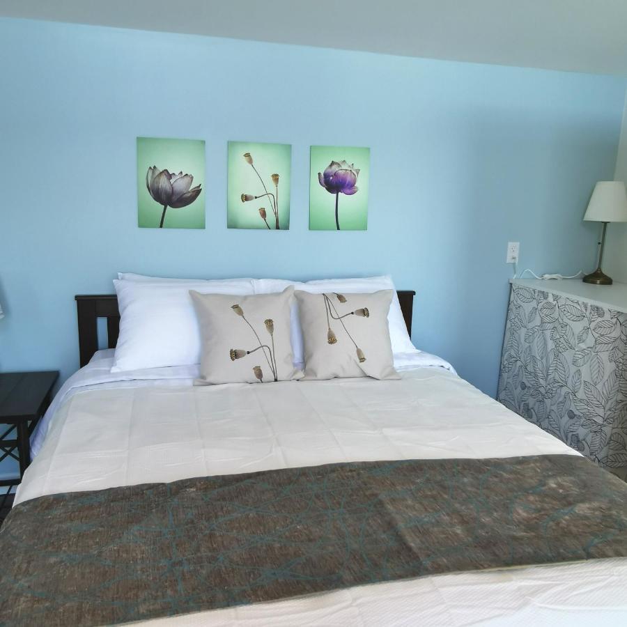 Knotty Pine Ocean Front Suite - Adults Only Ingonish Exterior photo